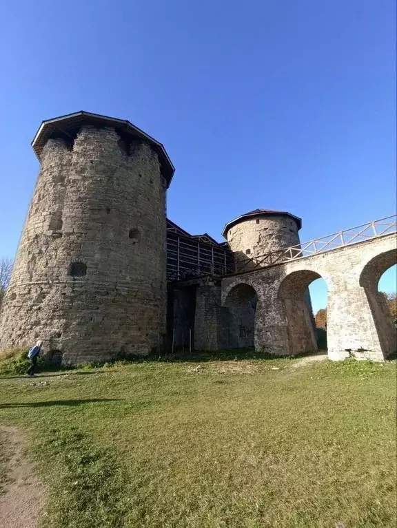 Участок в Ленинградская область, Ломоносовский район, Копорское с/пос, ... - Фото 2