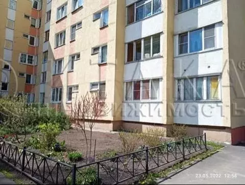 1-к. квартира, 35,9 м, 1/6 эт. - Фото 1