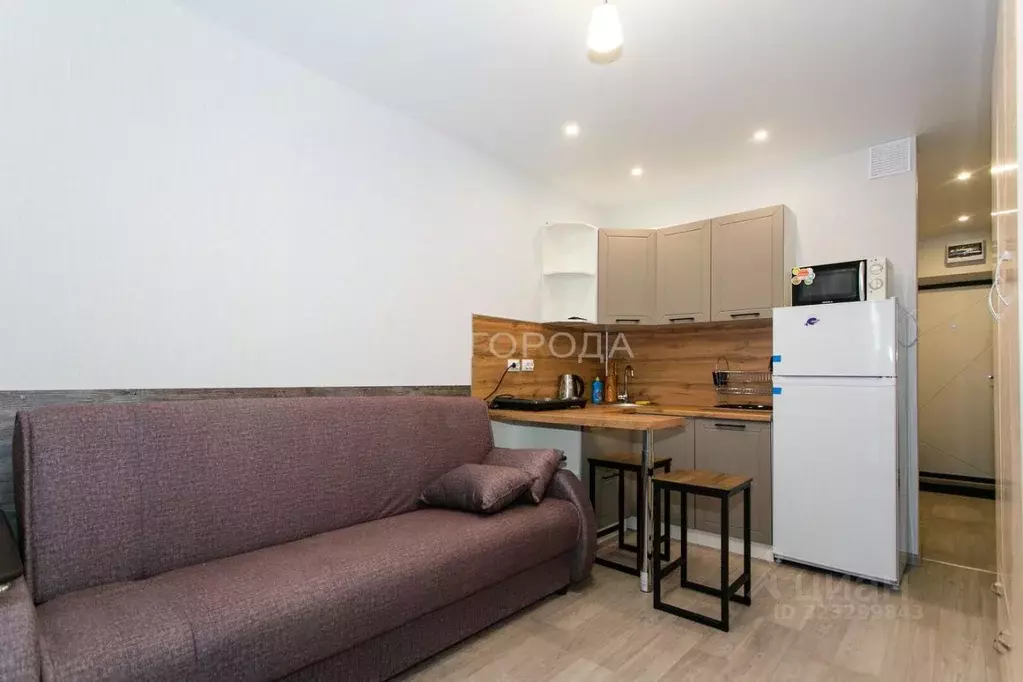 Студия Новосибирская область, Новосибирск ул. Забалуева, 102/2 (20.0 ... - Фото 0