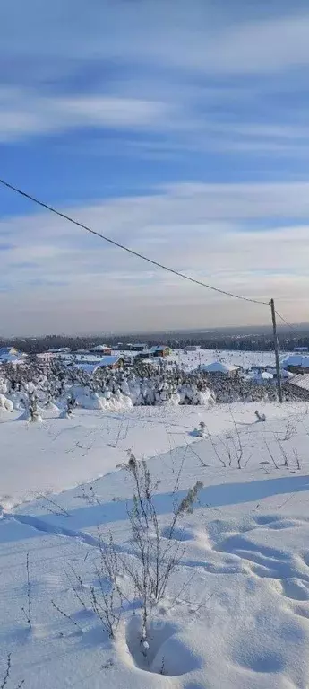 Участок в Удмуртия, Ижевск ул. 2-я Черничная, 15 (20.5 сот.) - Фото 2