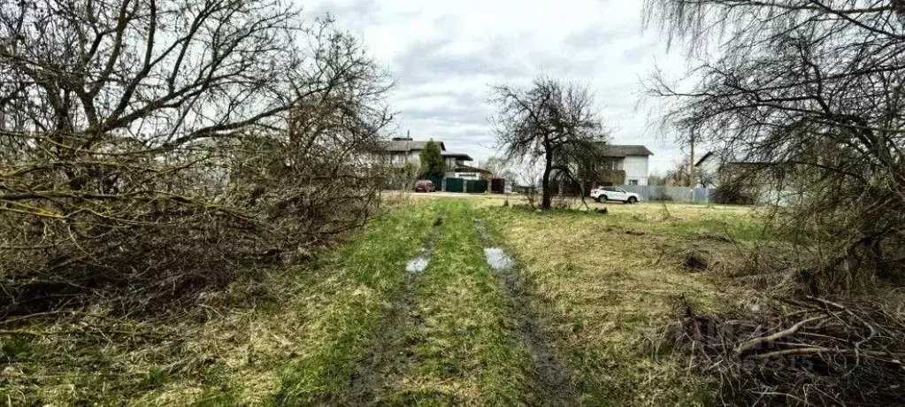 Участок в Московская область, Коломна городской округ, с. Чанки  ... - Фото 2