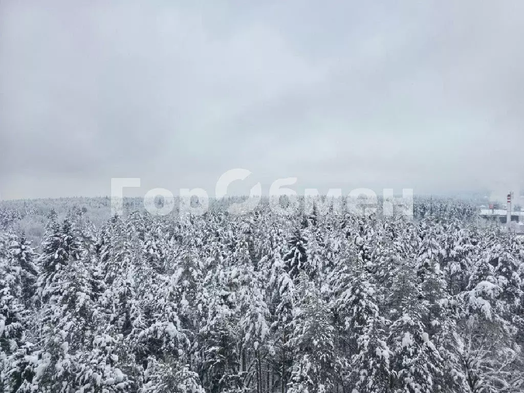 Продается 2-комнатная квартира - Фото 2