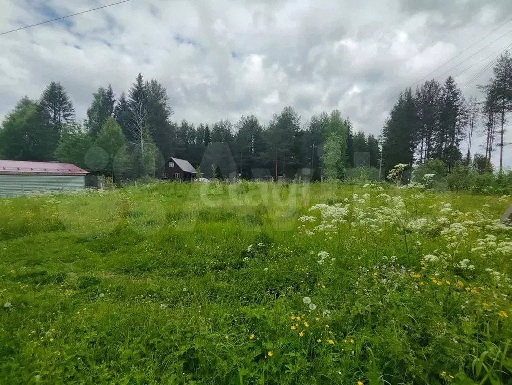 Участок 7,3 сот. (личное подсобное хозяйство (лпх)) - Фото 1