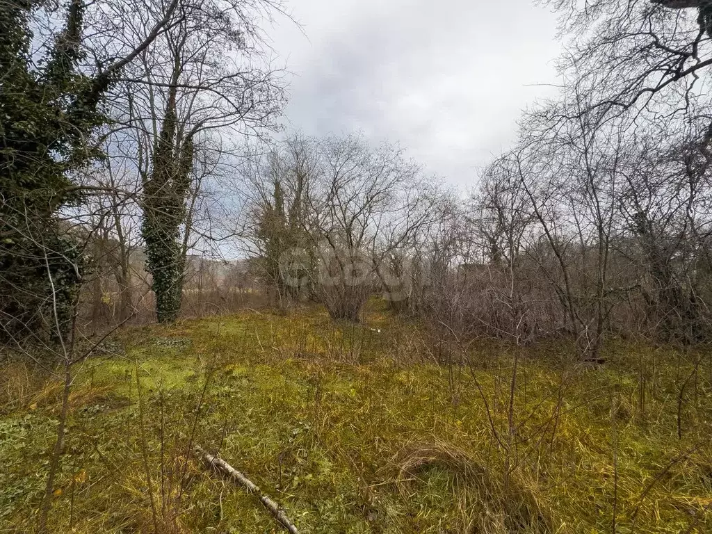 Участок в Краснодарский край, Геленджик городской округ, с. ... - Фото 2