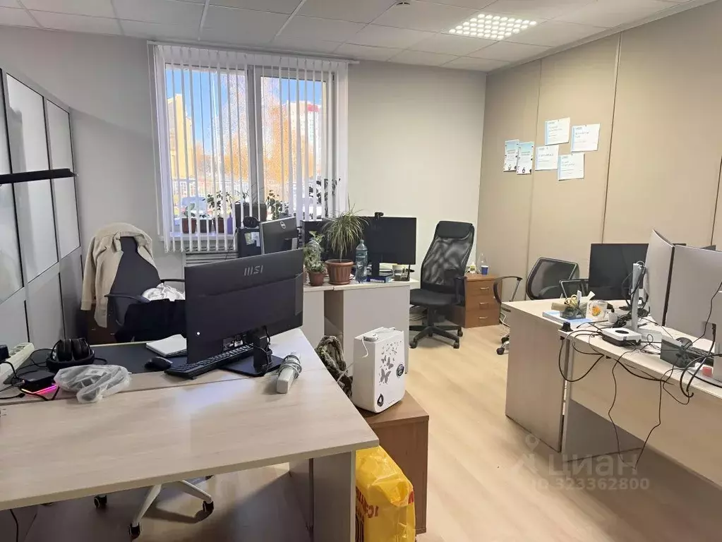 Помещение свободного назначения в Мордовия, Саранск Псковская ул., 2А ... - Фото 1