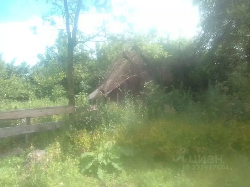 Участок в Брянская область, Мглинский район, Краснокосаровское с/пос, ... - Фото 1