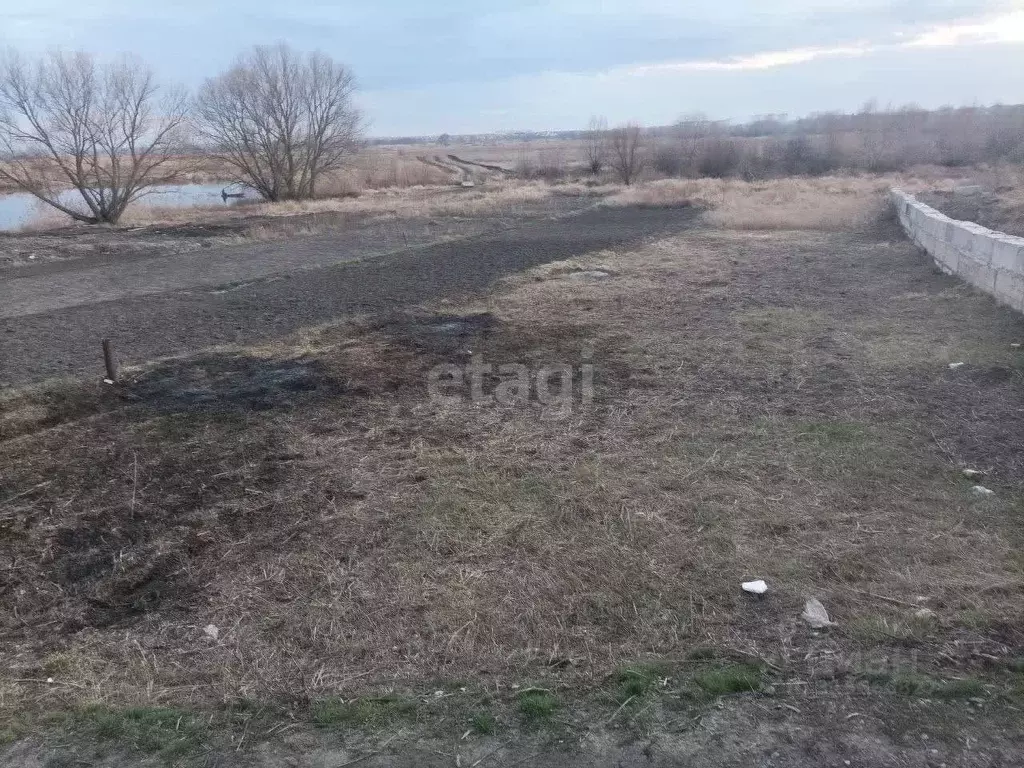 Участок в Воронежская область, Новоусманский район, пос. Отрадное ул. ... - Фото 0