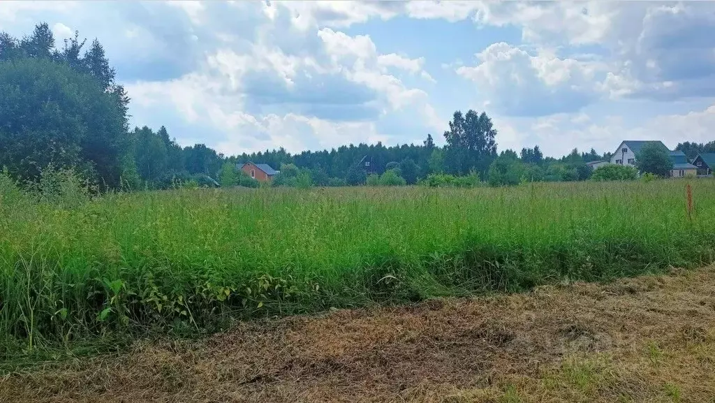 Участок в Московская область, Орехово-Зуевский городской округ, д. ... - Фото 1