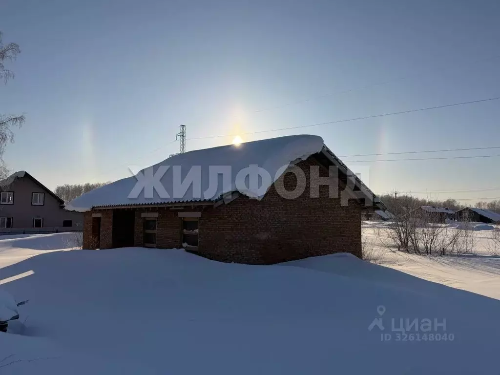 Участок в Новосибирская область, Новосибирский район, Барышевский ... - Фото 2
