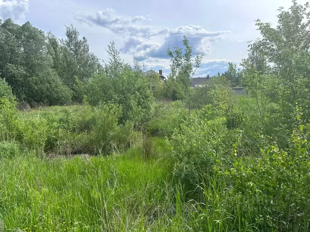 Участок в Московская область, Богородский городской округ, д. ... - Фото 1
