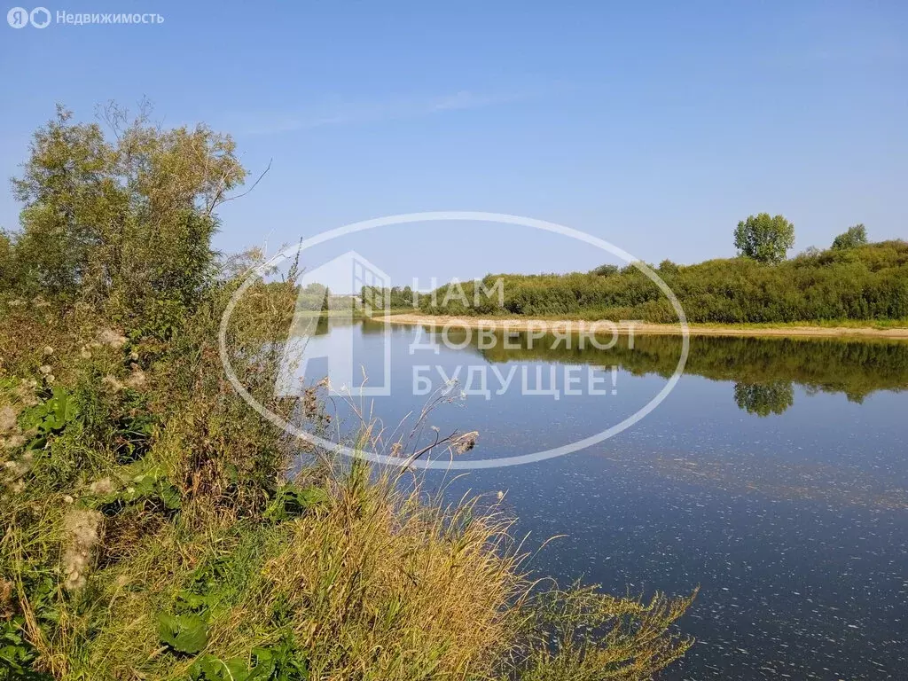 Участок в Чусовской городской округ, деревня Кучино, Дорожная улица, ... - Фото 1