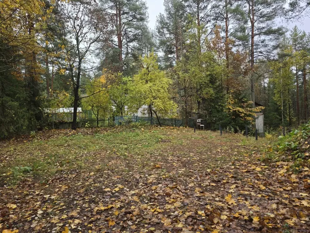 Участок в Ленинградская область, Приозерский район, Сосновское с/пос, ... - Фото 2