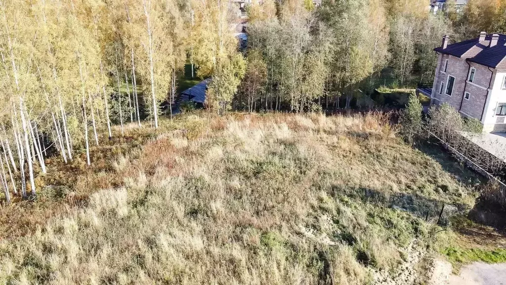 Участок в Ленинградская область, Всеволожский район, Лесколовское ... - Фото 0