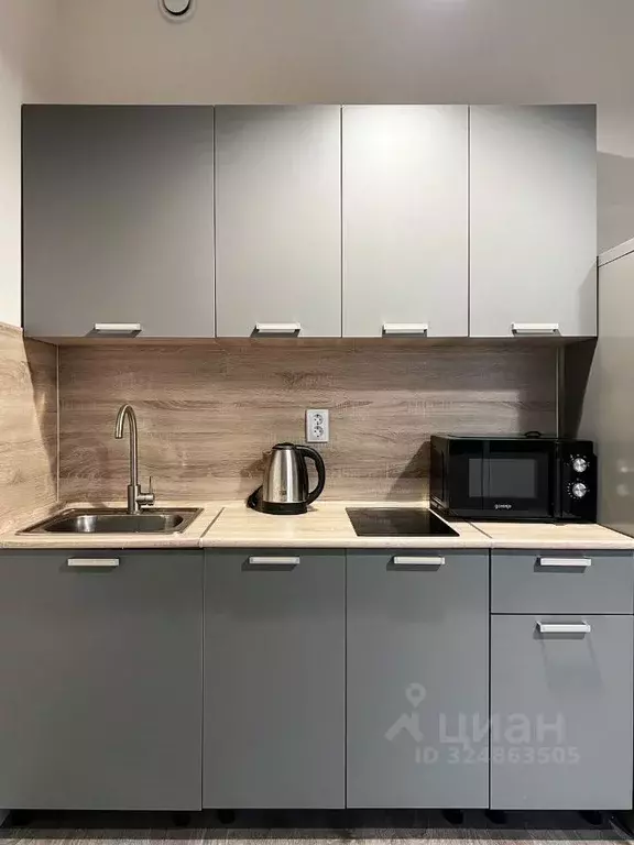 Студия Ленинградская область, Всеволожский район, Свердловское ... - Фото 2