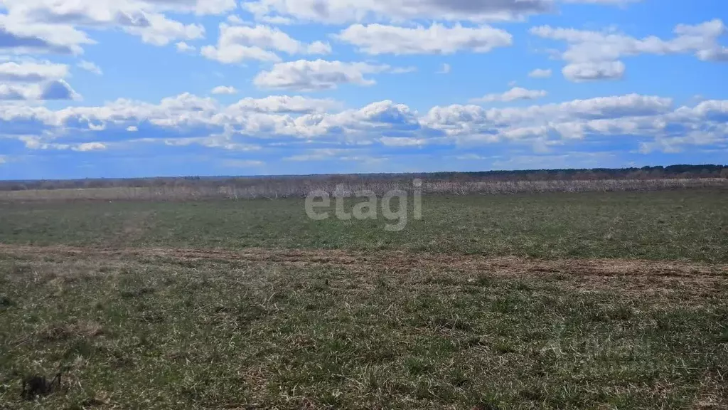 Участок в Коми, Сыктывдинский район, с. Выльгорт  (10.0 сот.) - Фото 1