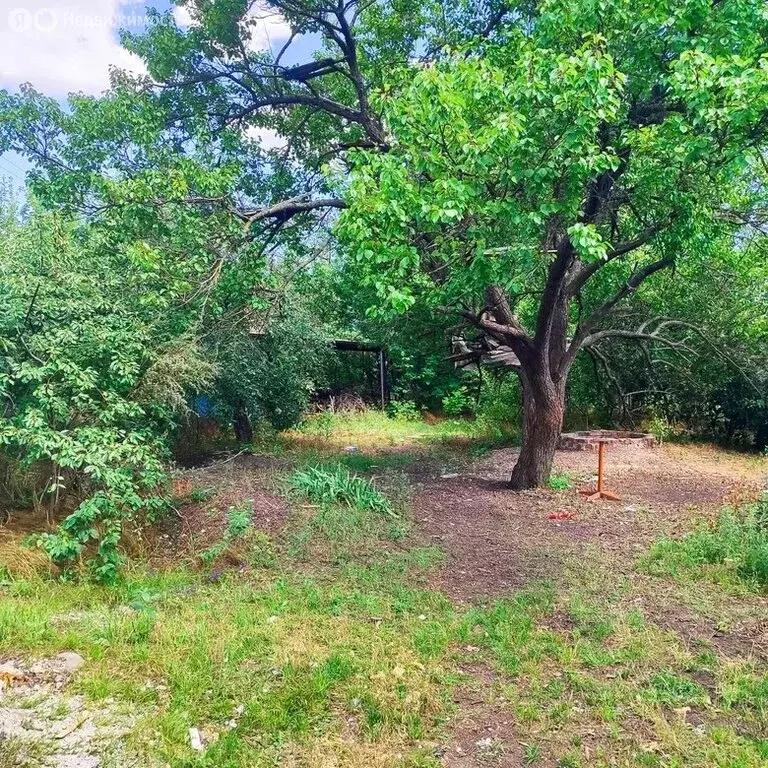 Участок в Красновка, улица Комарова (9.9 м) - Фото 1