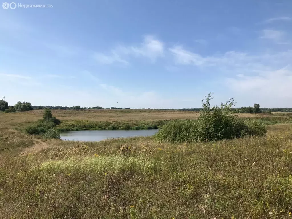 Участок в Заокский район, сельское поселение Демидовское, деревня ... - Фото 0
