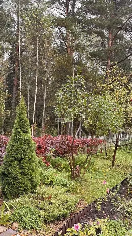 Дом в Пермский край, Краснокамский муниципальный округ, СНТ ... - Фото 2
