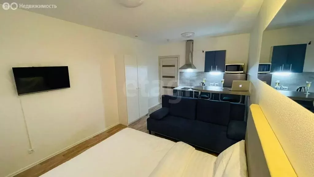 Квартира-студия: Санкт-Петербург, Муринская дорога, 27к2 (21.1 м) - Фото 0