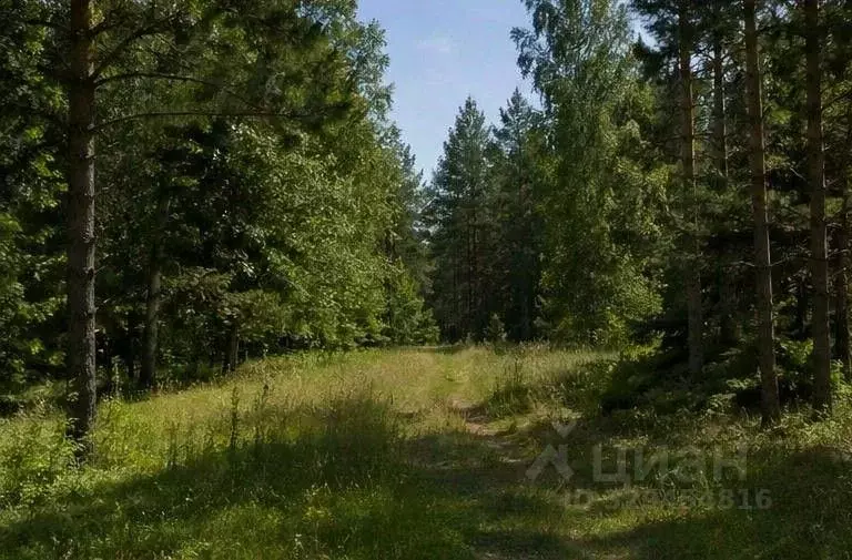 Участок в Нижегородская область, Сокольский муниципальный округ, д. ... - Фото 2