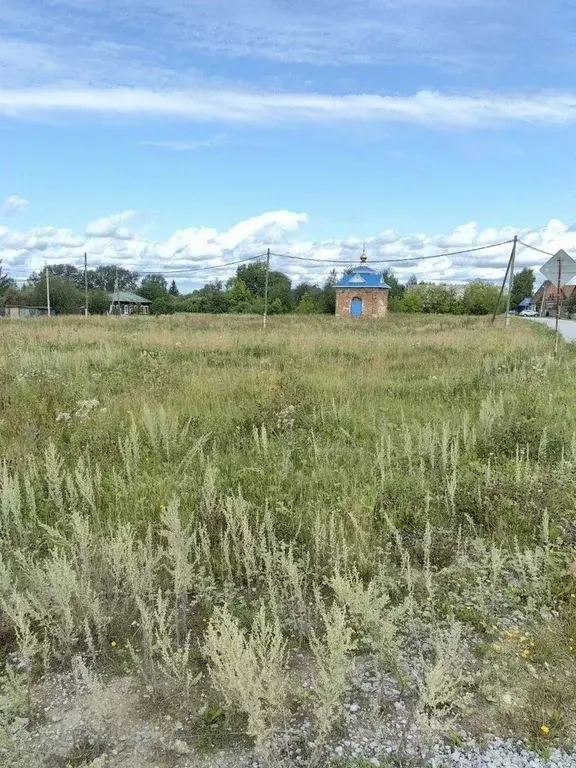 Участок в Свердловская область, Ирбитский район, д. Бузина ул. ... - Фото 0