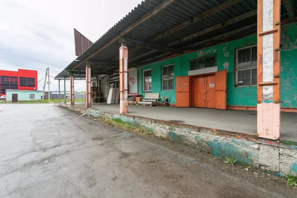 Склад в Новосибирская область, Новосибирск Толмачевская ул., 19Ак2 ... - Фото 1