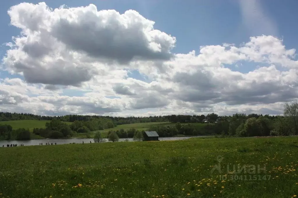 Участок в Московская область, Пушкинский городской округ, д. Василево  ... - Фото 0