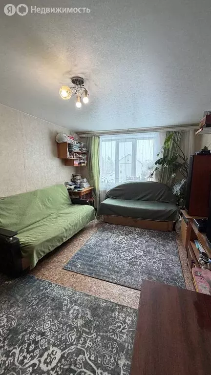 1-комнатная квартира: посёлок Приамурский, Амурская улица, 12А (33.5 ... - Фото 2