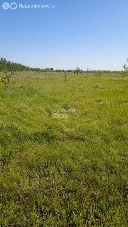 Участок в Энгельсский район, Красноярское муниципальное образование ... - Фото 1