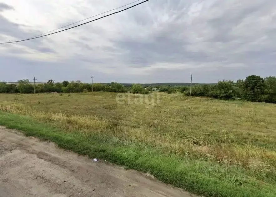 Участок в Воронежская область, Семилукский район, с. Губарево ул. ... - Фото 1