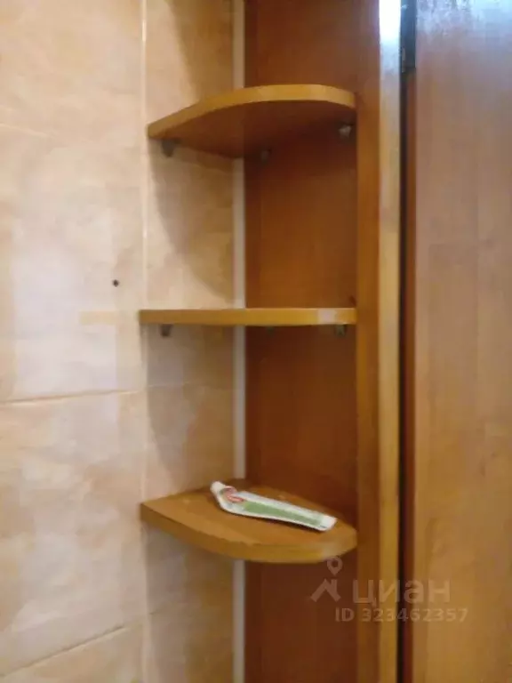 Студия Алтайский край, Барнаул Северо-Западная ул., 50 (20.0 м) - Фото 2