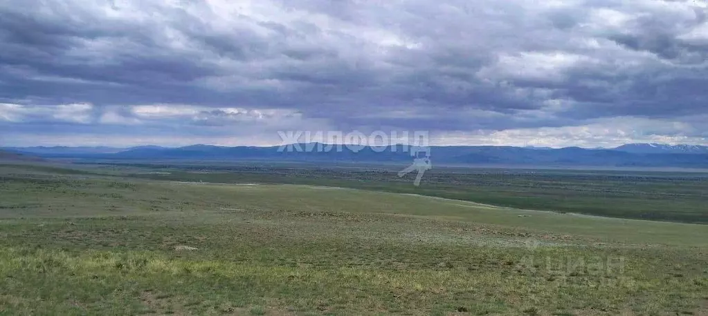 Участок в Алтай, Кош-Агачский район, с. Теленгит-Сортогой Центральная ... - Фото 1