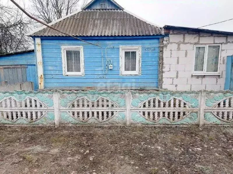 Дом в Белгородская область, Корочанский район, Новослободское с/пос, ... - Фото 0