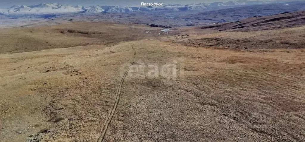 Участок в Алтай, Кош-Агачский район, Джазаторское с/пос, с. Беляши  ... - Фото 0