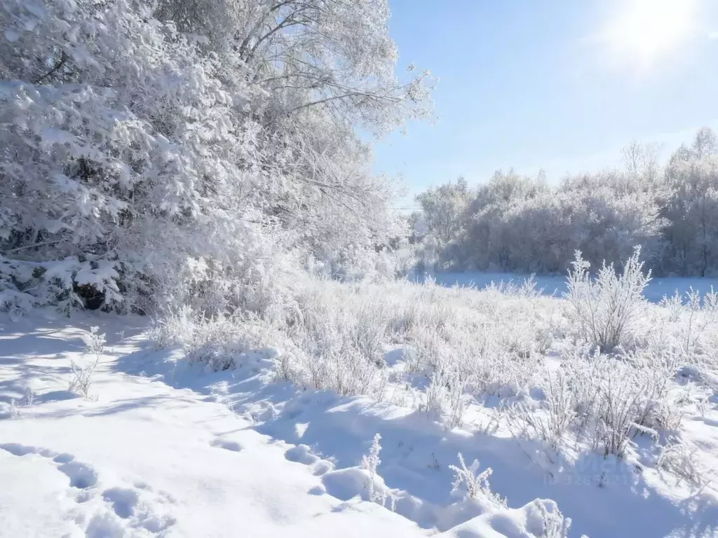 Участок в Ленинградская область, Киришский район, Глажевское с/пос, ... - Фото 0