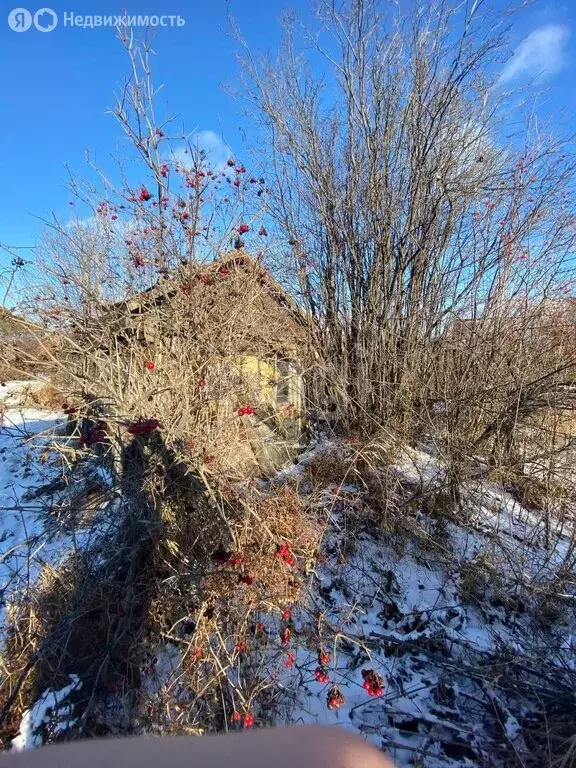 Участок в Алапаевск, коллективный сад № 2 имени Тимирязева (6.2 м) - Фото 1