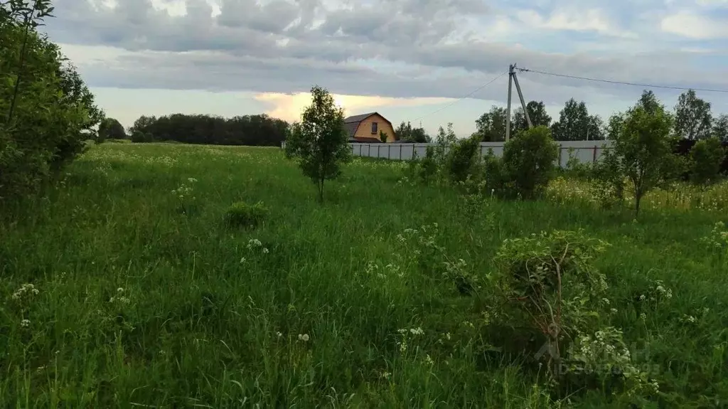 Участок в Ленинградская область, Волосовский район, Большеврудское ... - Фото 1