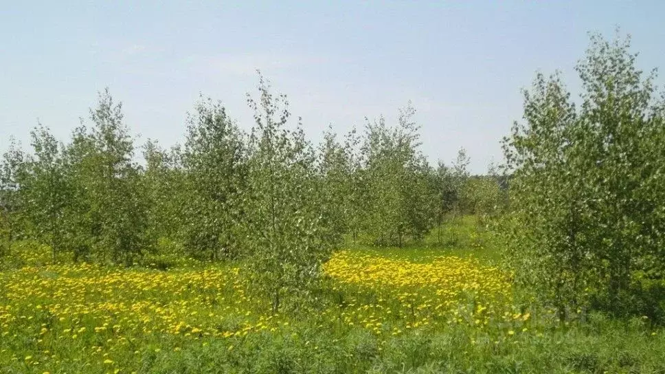 Участок в Московская область, Одинцовский городской округ, Лесной ... - Фото 1