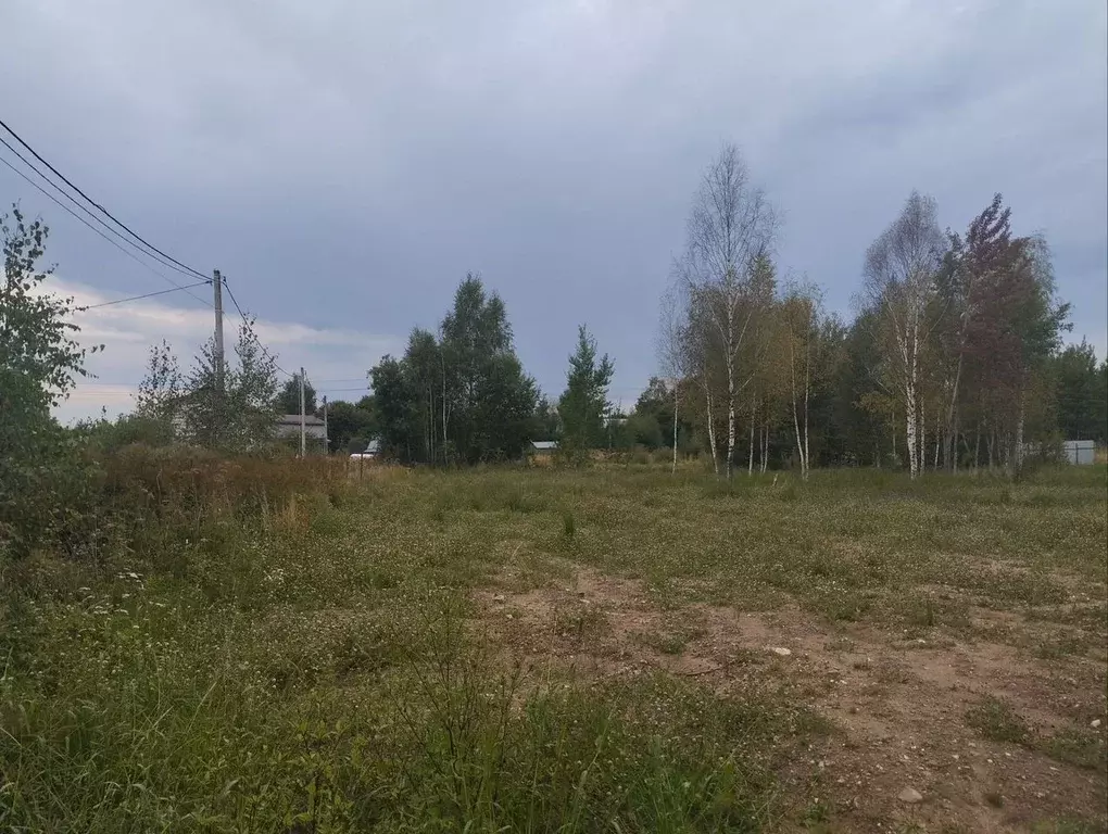 Участок в Московская область, Рузский муниципальный округ, пос. ... - Фото 1
