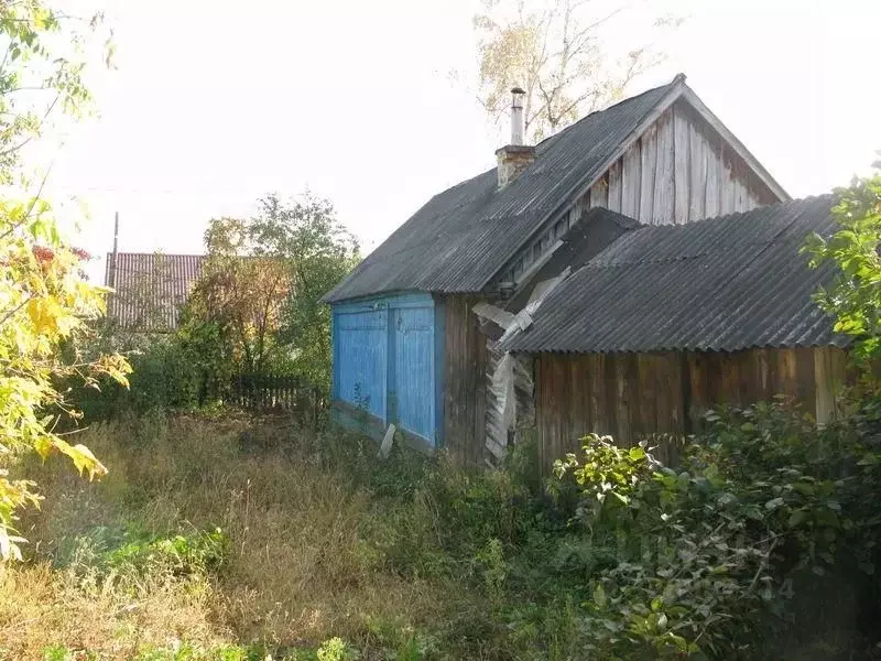 Дом в Пензенская область, Лунино рп ул. Крупской, 10 (39 м) - Фото 1