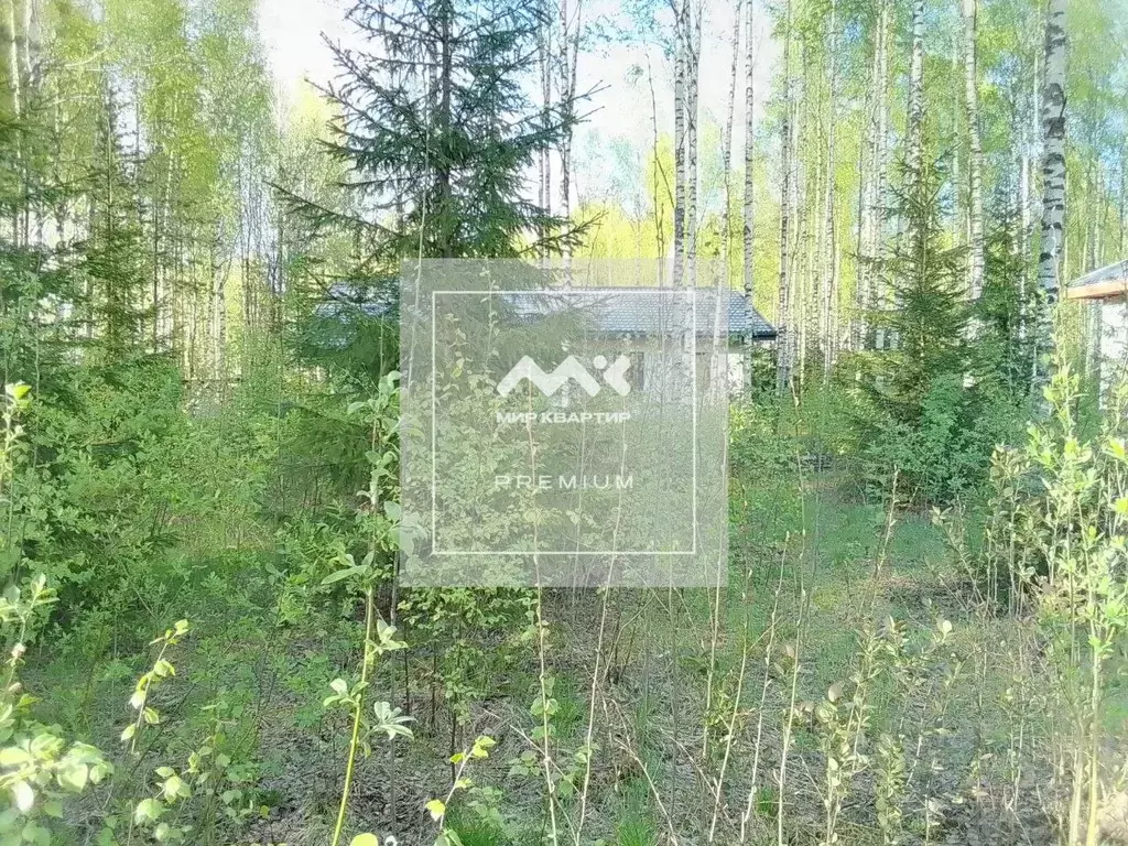 Участок в Ленинградская область, Всеволожск Новая ул., 12А (8.3 сот.) - Фото 1