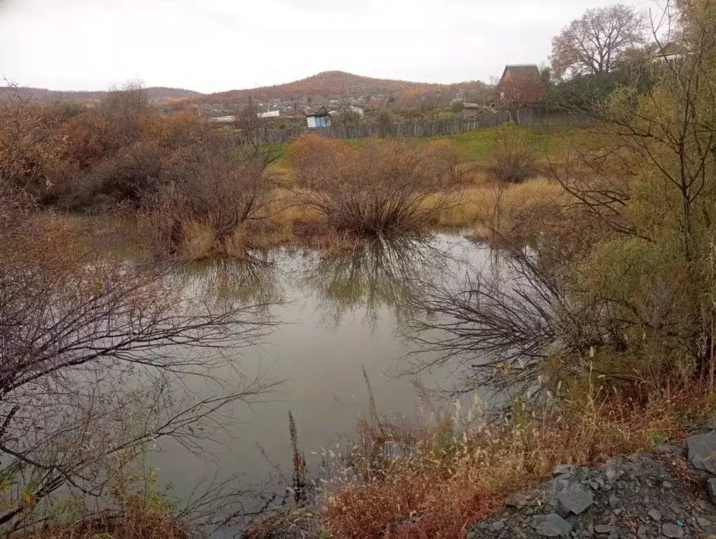 Участок в Хабаровский край, Амурский район, Урожайное СНТ ул. 2-я (7.0 ... - Фото 2