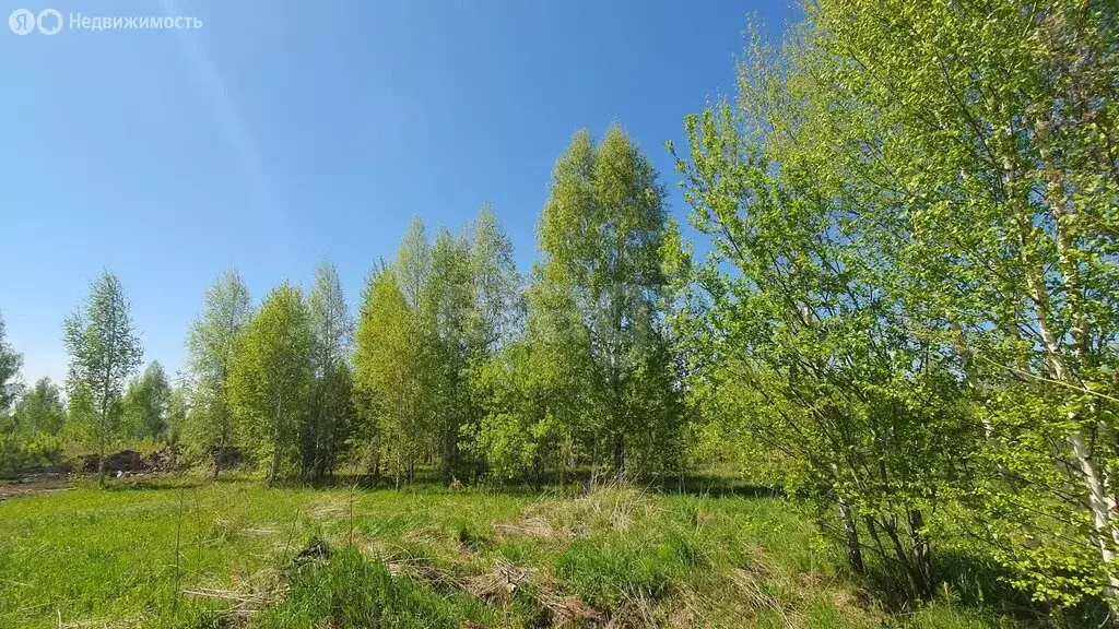 Участок в Кемеровский муниципальный округ, деревня Солонечная, ... - Фото 1