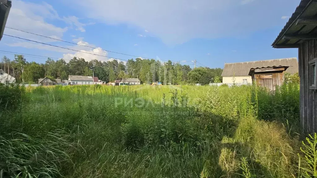 Участок в Брянская область, Сельцо ул. Гагарина, 12 (1375.0 сот.) - Фото 0