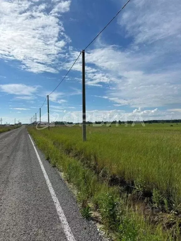 Участок в Тюменская область, Тюменский муниципальный округ, д. Елань, ... - Фото 1