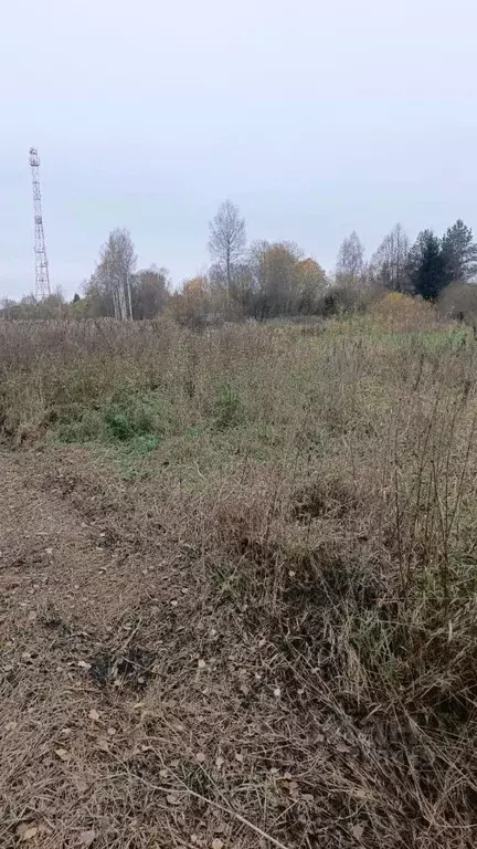 Участок в Московская область, Талдомский городской округ, д. ... - Фото 1