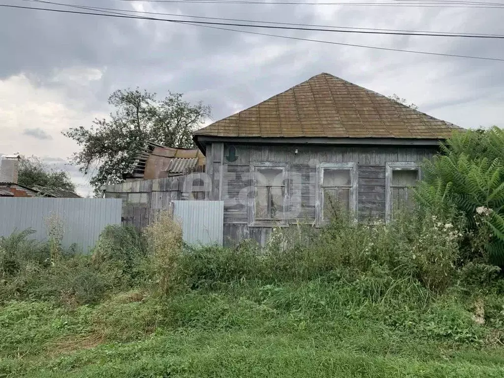 Участок в Брянская область, Карачев пер. Кольцова (15.0 сот.) - Фото 1