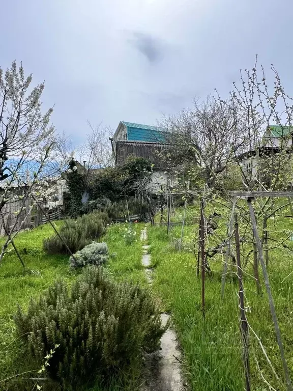 Дом в Краснодарский край, Новороссийск ул. Васильковская (40 м) - Фото 2