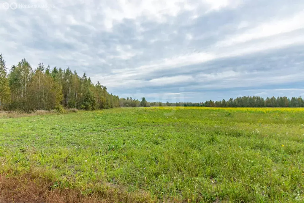 Участок в Красноярка, улица Красный Маяк (1019 м) - Фото 1