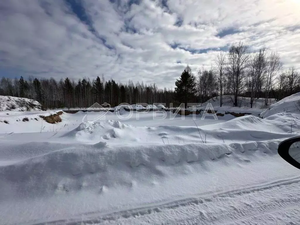 Участок в Тюменская область, Нижнетавдинский район, с. Тюнево  (10.0 ... - Фото 0